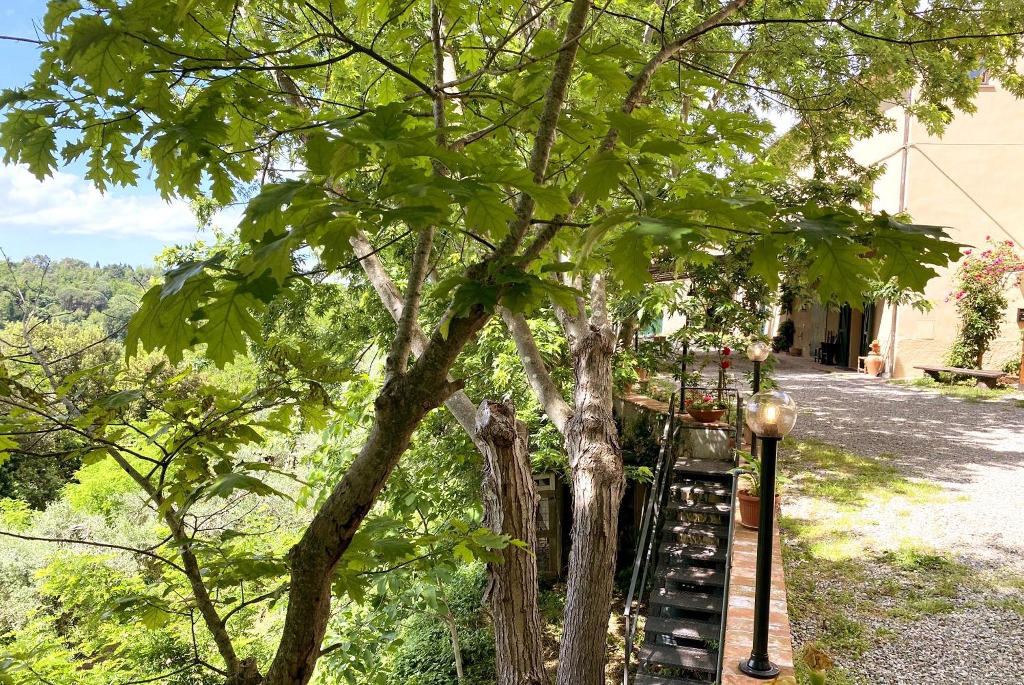 La Tonnaia Apartment Lari Ngoại thất bức ảnh